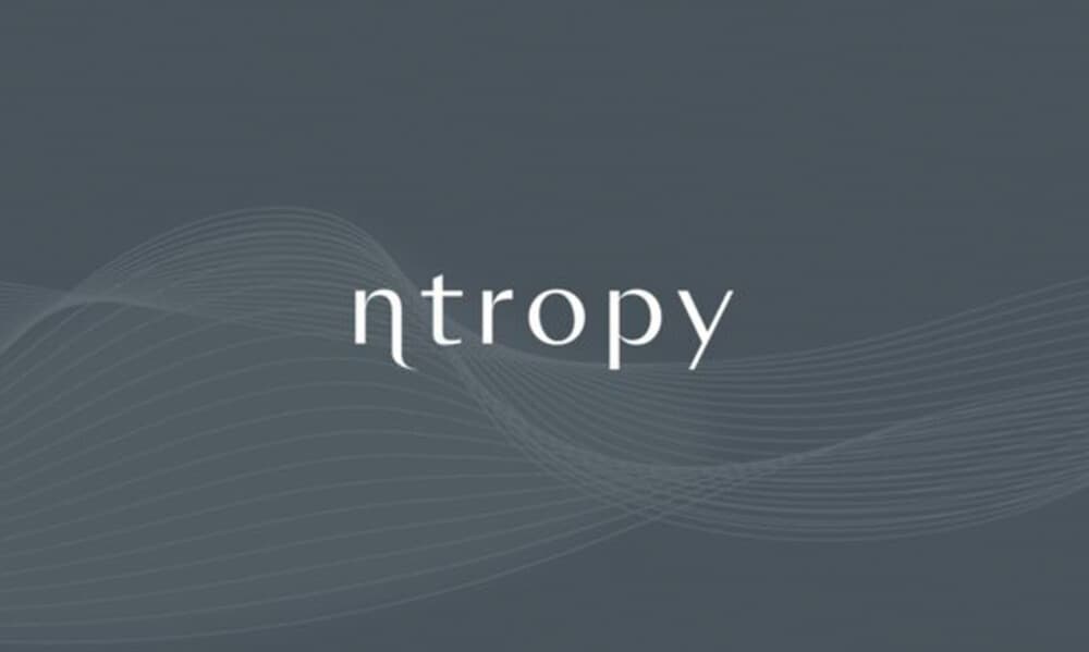 We are pleased to announce that Lakestar has led an $11m Series A funding round for ntropy.